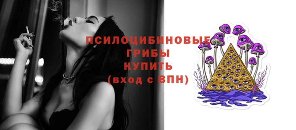 прущий лед Лиски