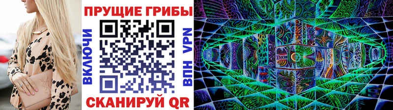 Купить где  Нефтеюганск  Псилоцибиновые грибы Psilocybine cubensis 